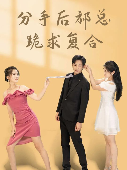分手后祁总跪求复合封面