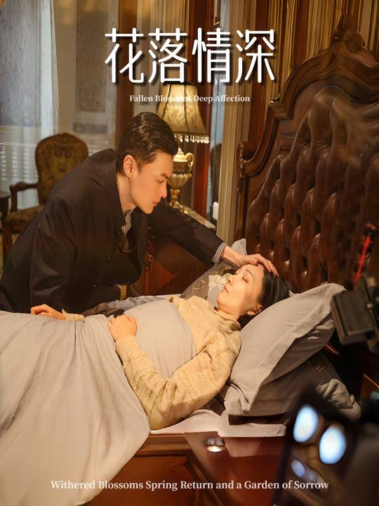 花落情深封面