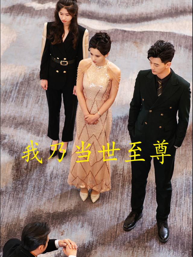 我乃当世至尊封面