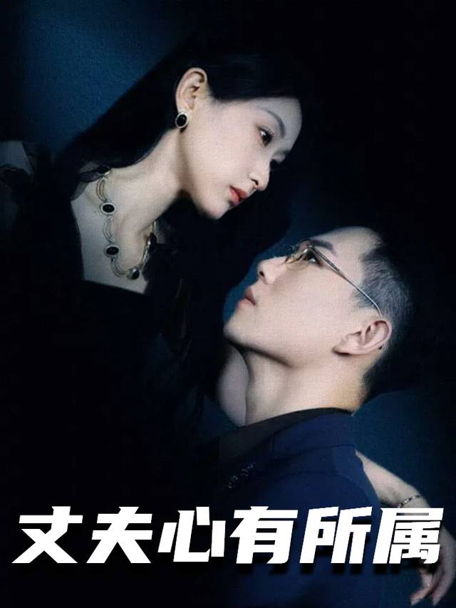 丈夫心有所属封面