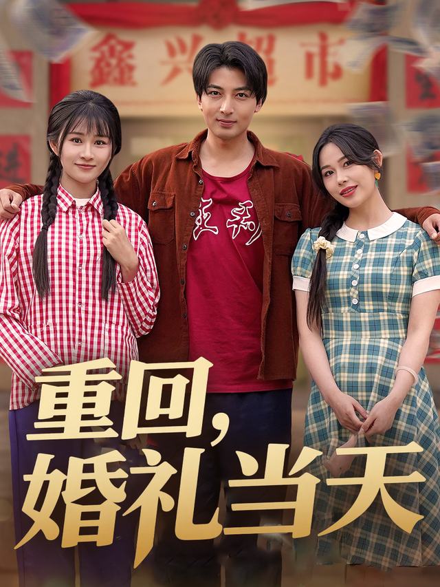重回婚礼当天封面