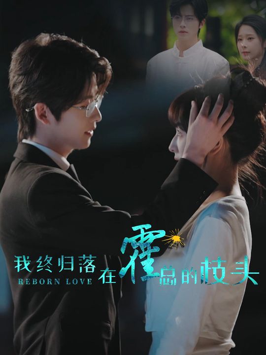 我终归落在霍总的枝头封面