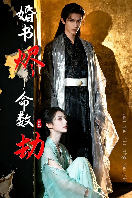 婚书烬,命数劫封面