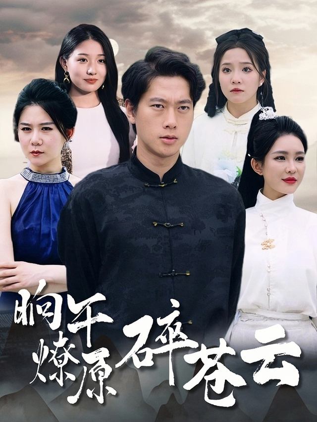 晌午燎原碎苍云封面