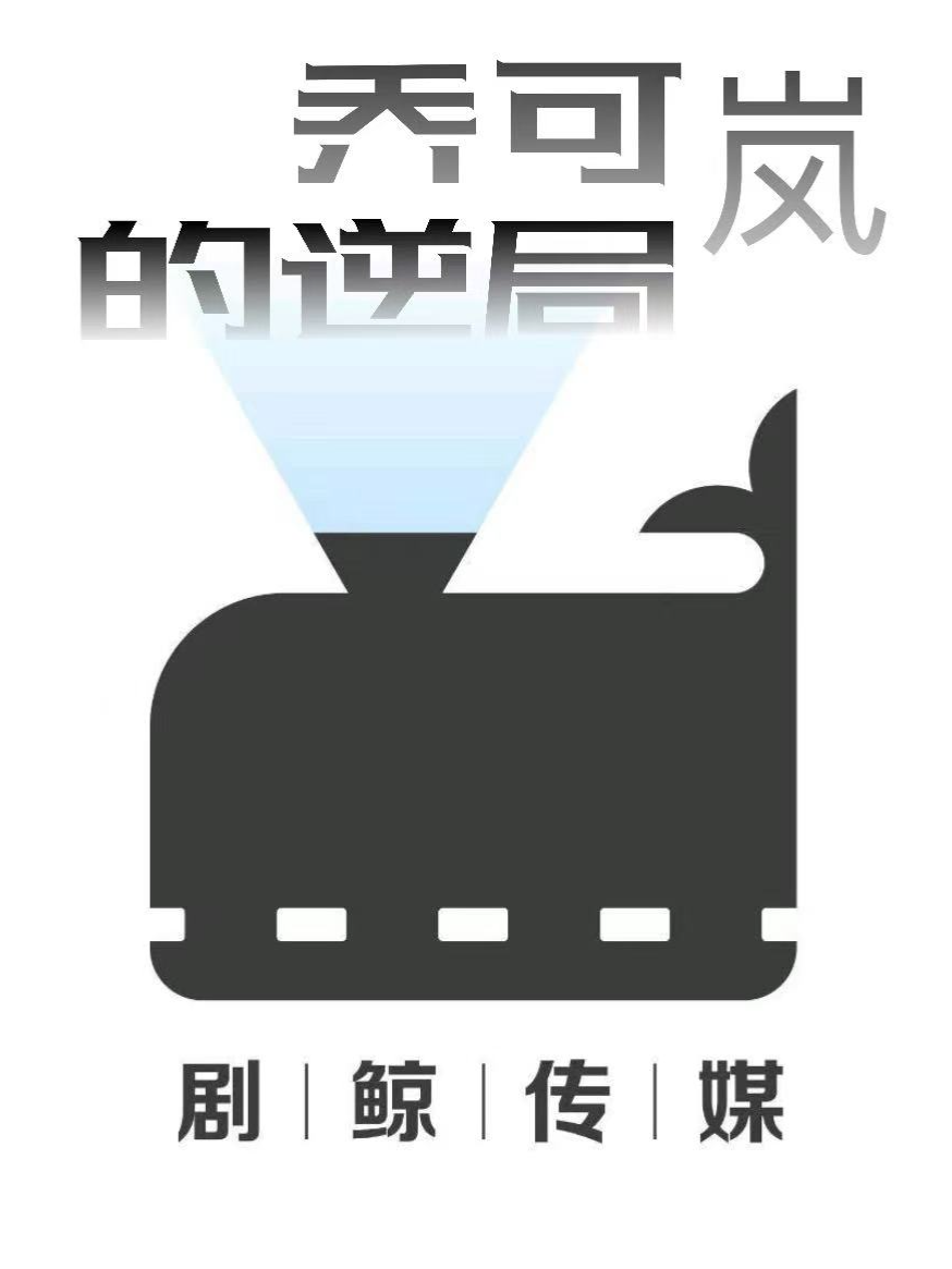乔可岚的逆局封面