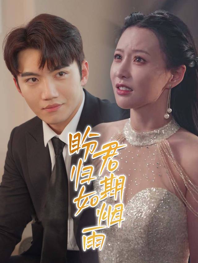 盼君归期如烟雨封面