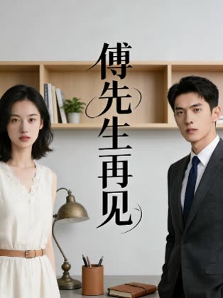 傅先生再见封面