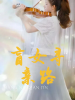 盲女寻亲路封面