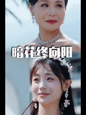 暗花终向阳封面