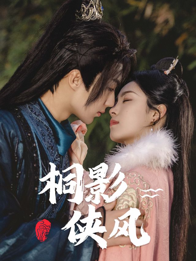 桐影侠风封面