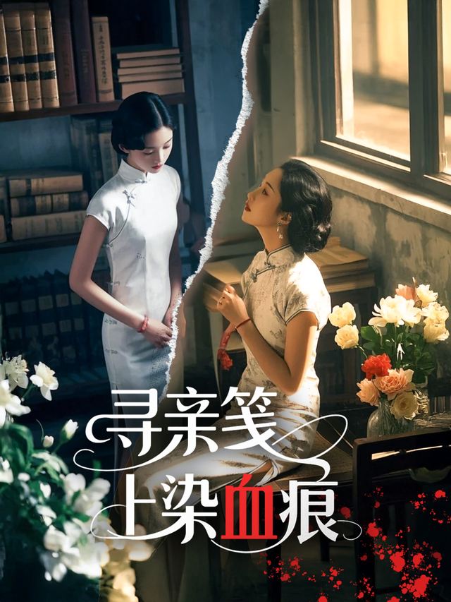 寻亲笺上染血痕封面