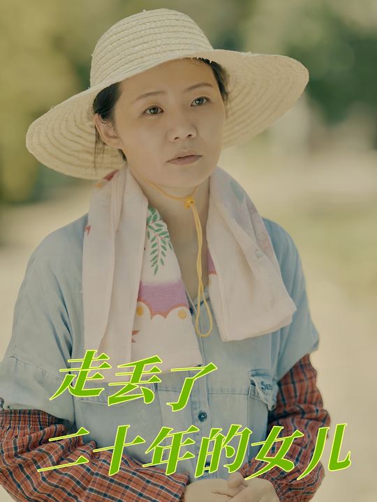 走丢了二十年的女儿封面