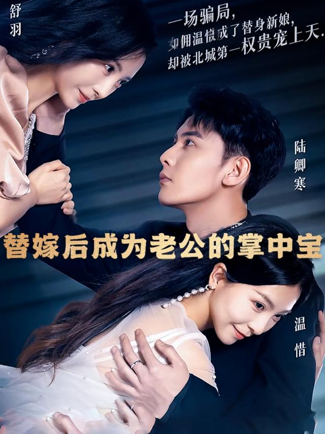 替嫁后成为老公的掌中宝封面
