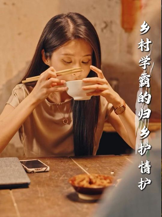 乡村学霸的归乡护情封面