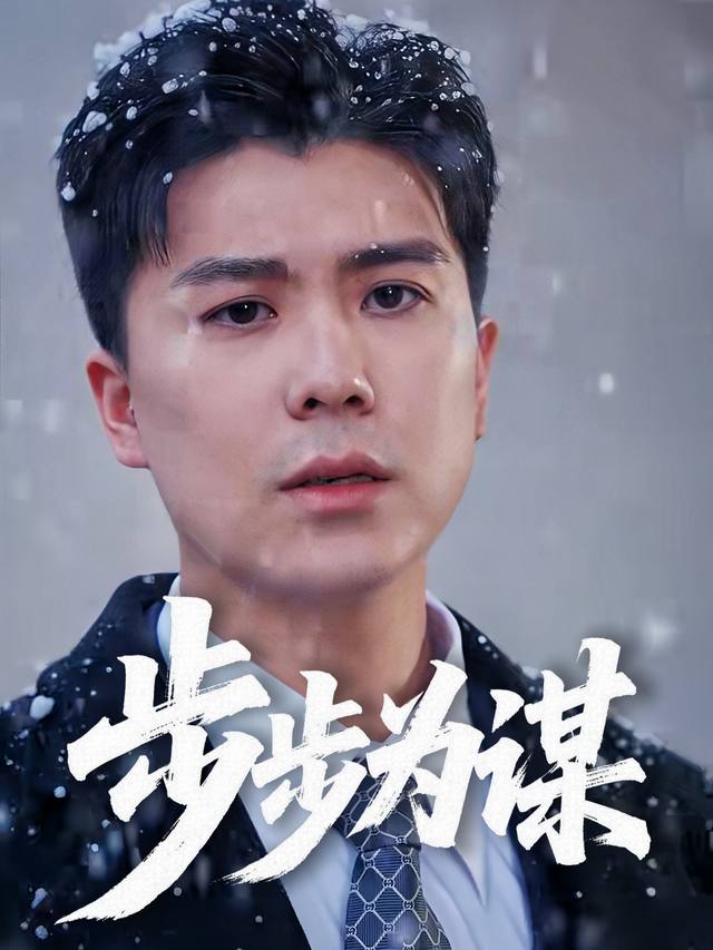 步步为谋封面
