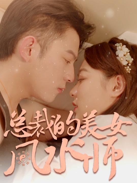 总裁的美女风水师封面