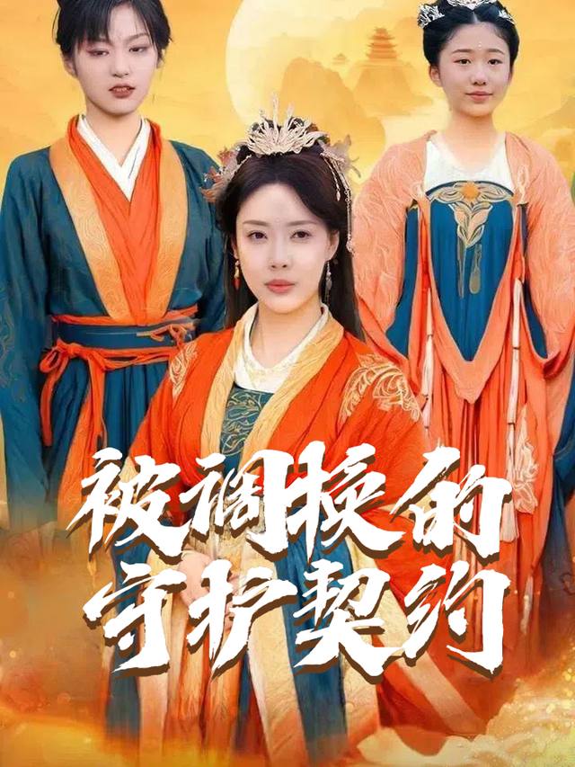 被调换的守护契约封面
