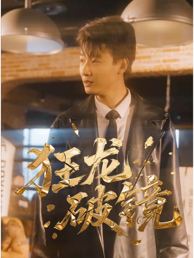 狂龙破镜封面