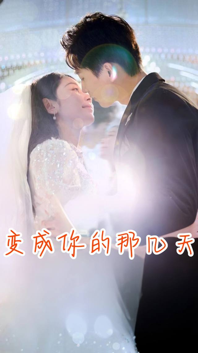 变成你的那几天封面