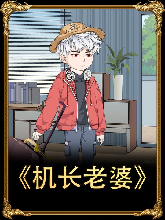 机长老婆封面