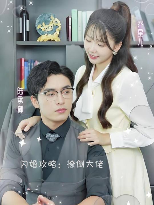 闪婚攻略:撩倒大佬封面