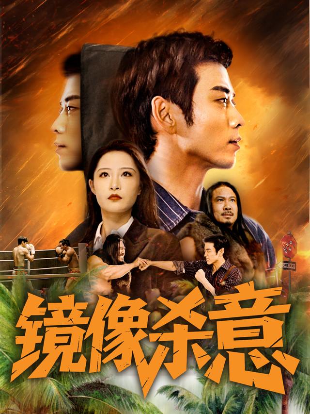 镜像杀意封面