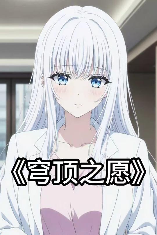 穹顶之愿封面