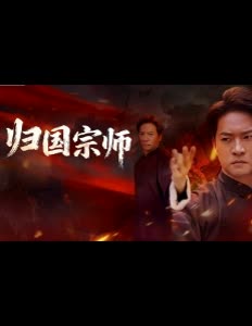 归国宗师封面