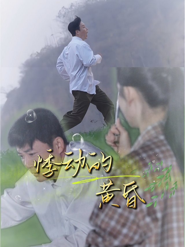 悸动的黄昏封面