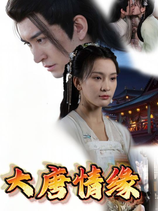 大唐情缘封面