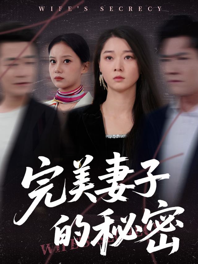 完美妻子的秘密封面