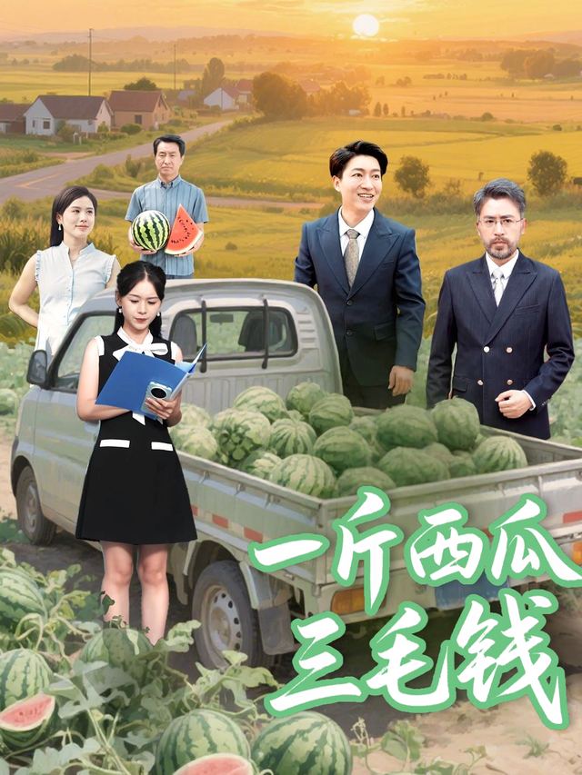 一斤西瓜三毛钱封面