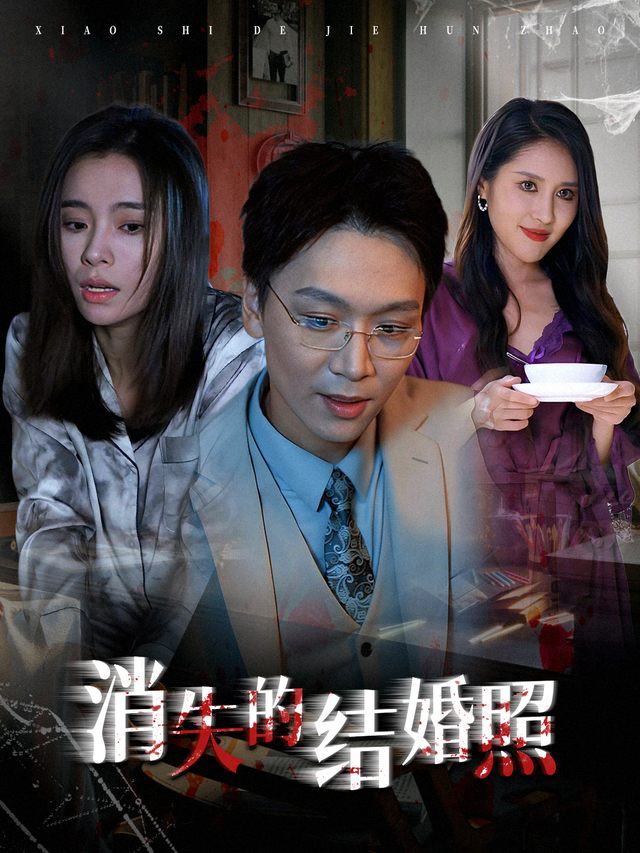 消失的结婚照封面