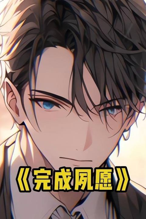 完成夙愿封面