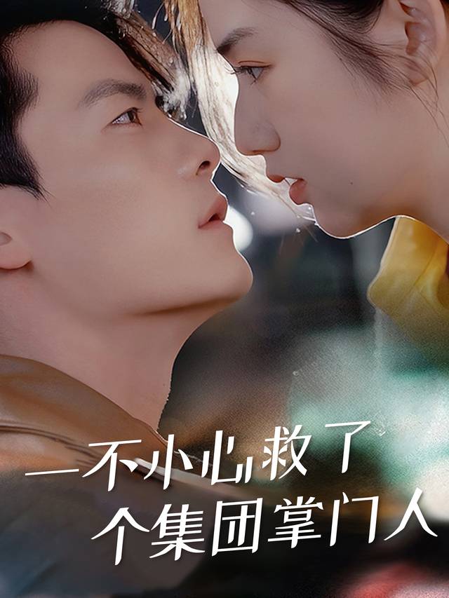 一不小心救了个集团掌门人封面