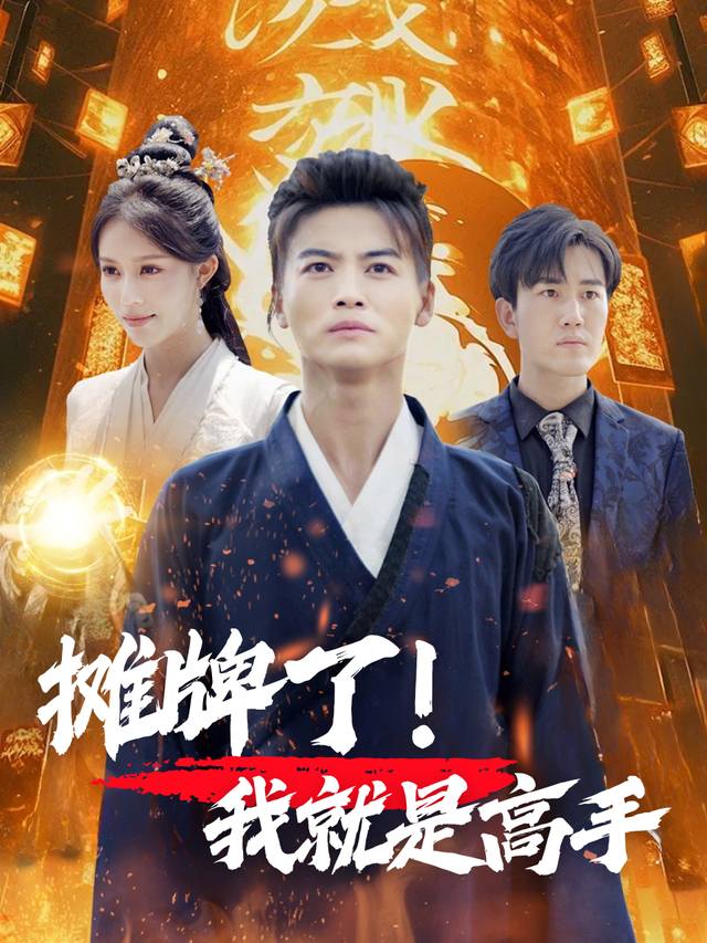 摊牌了,我就是高手封面