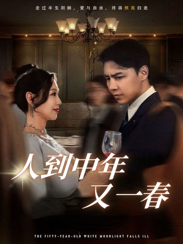 人到中年又一春封面