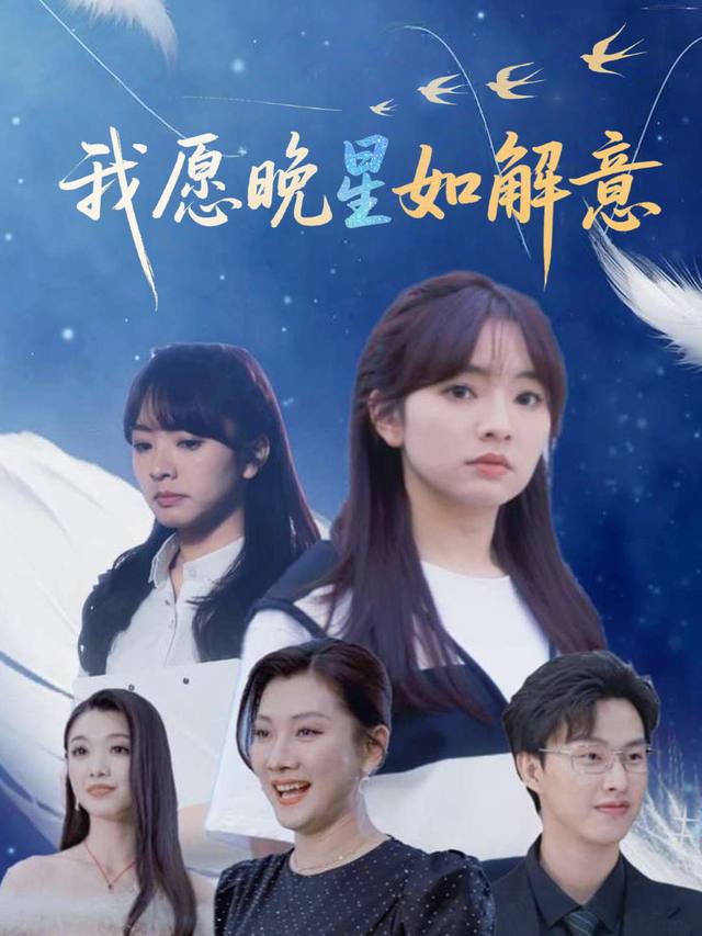 我愿晚星如解意封面