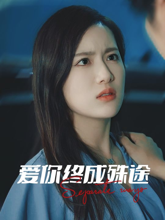 爱你终成殊途封面