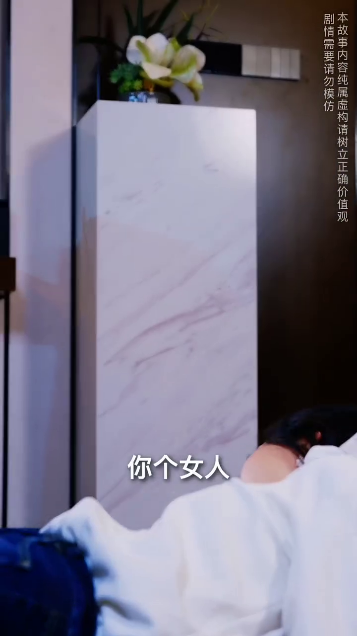 千帆过尽终于遇雪封面