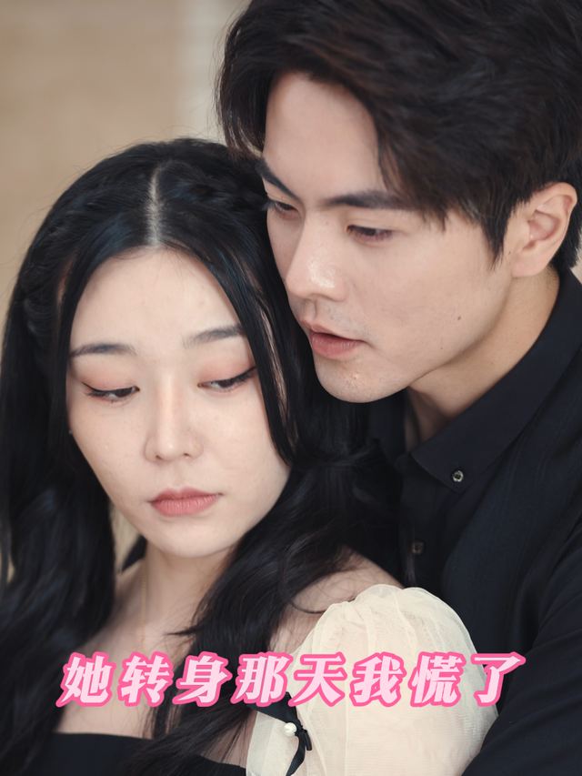 她转身那天我慌了封面