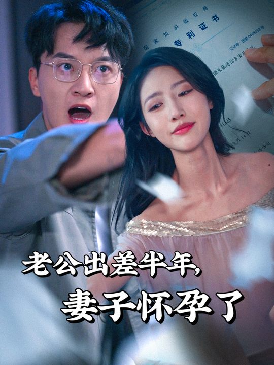 老公出差半年,妻子怀孕了封面