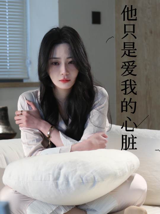 他只是爱我的心脏封面