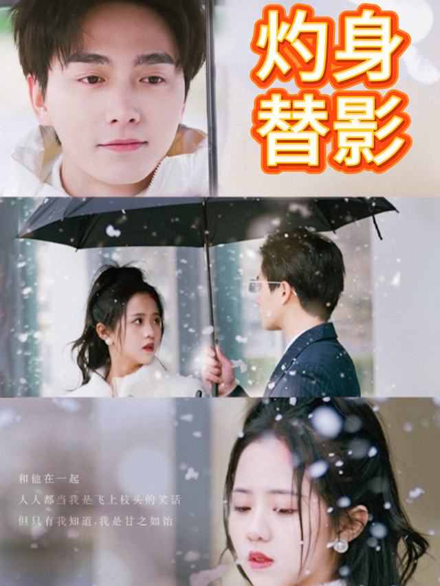 灼身替影封面