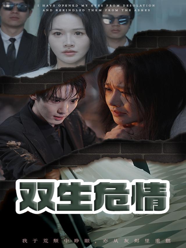 双生危情封面