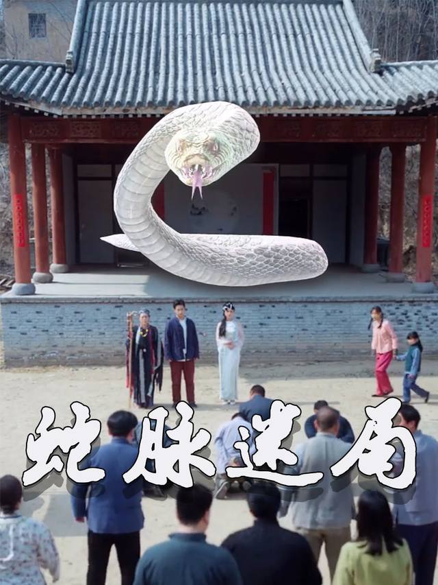 蛇脉迷局封面