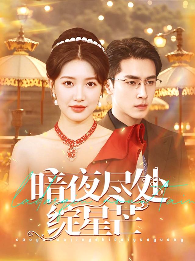 暗夜尽处绽星芒封面