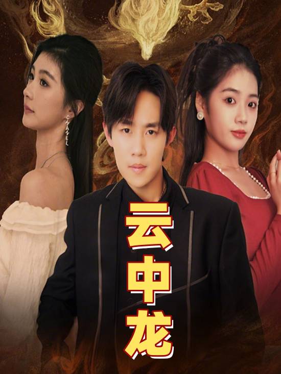 云中龙封面