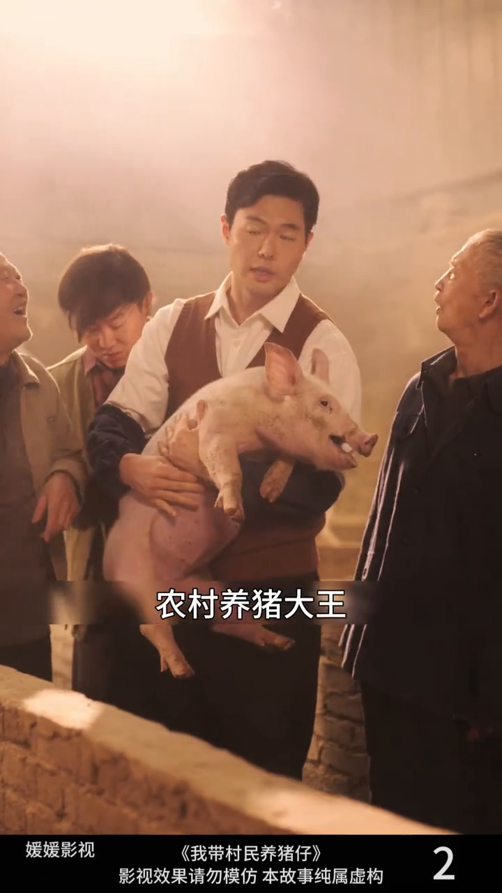 我带村民养猪仔封面