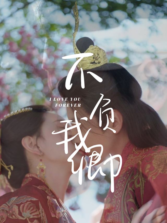 不负我卿封面